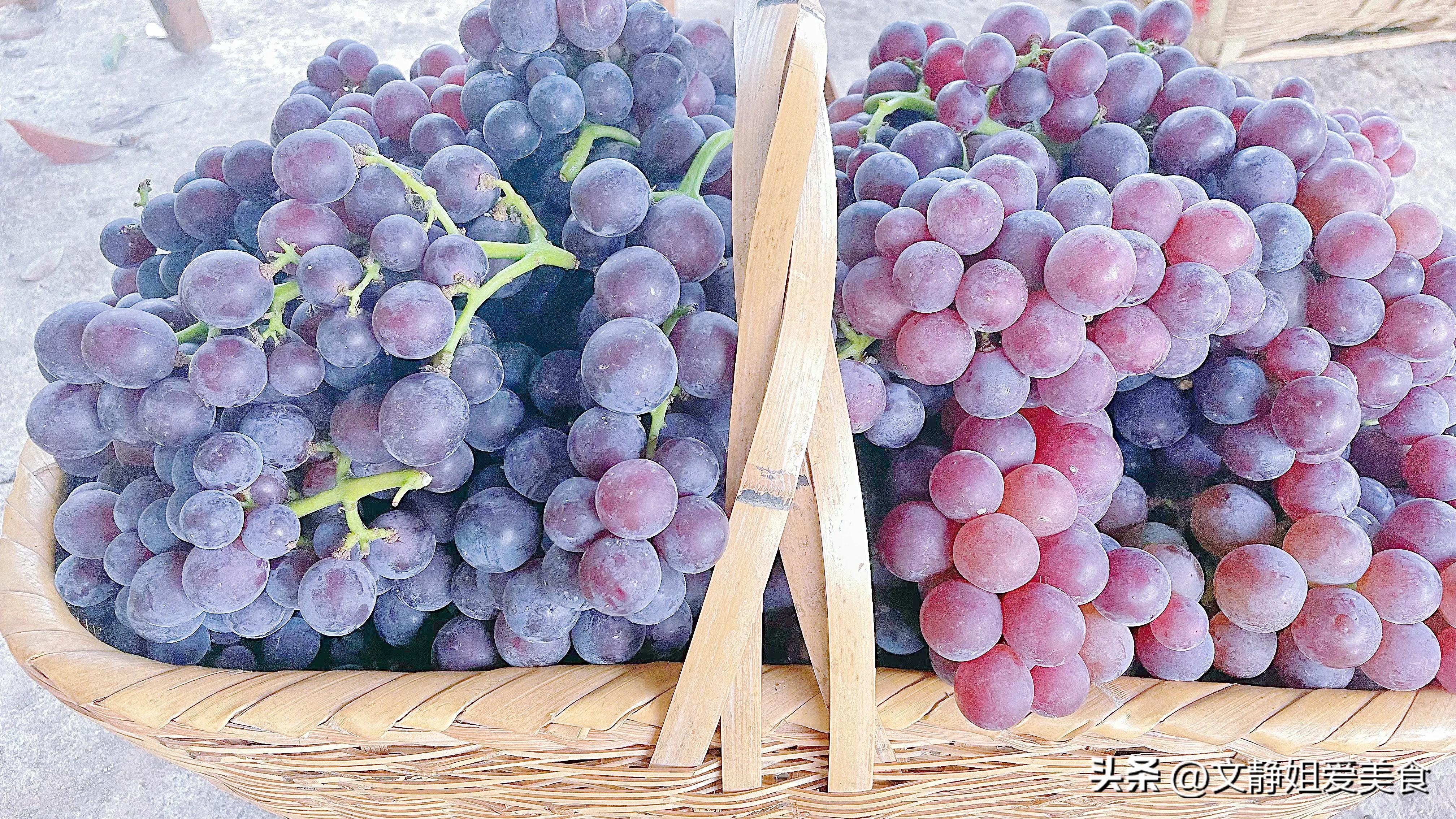 巨峰葡萄栽培技术图书,巨峰葡萄简单的介绍