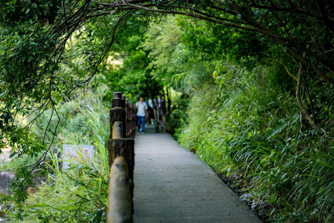广东深圳避暑好去处,深圳夏天哪里度假避暑最好