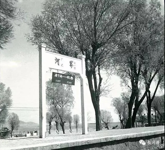 张桂革滕州,张桂革