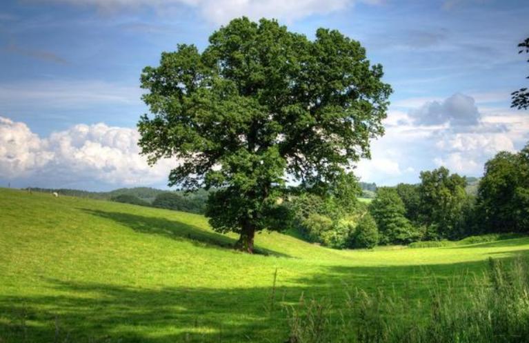 进口医用空气消毒机十大排名,等离子空气消毒机对人的危害