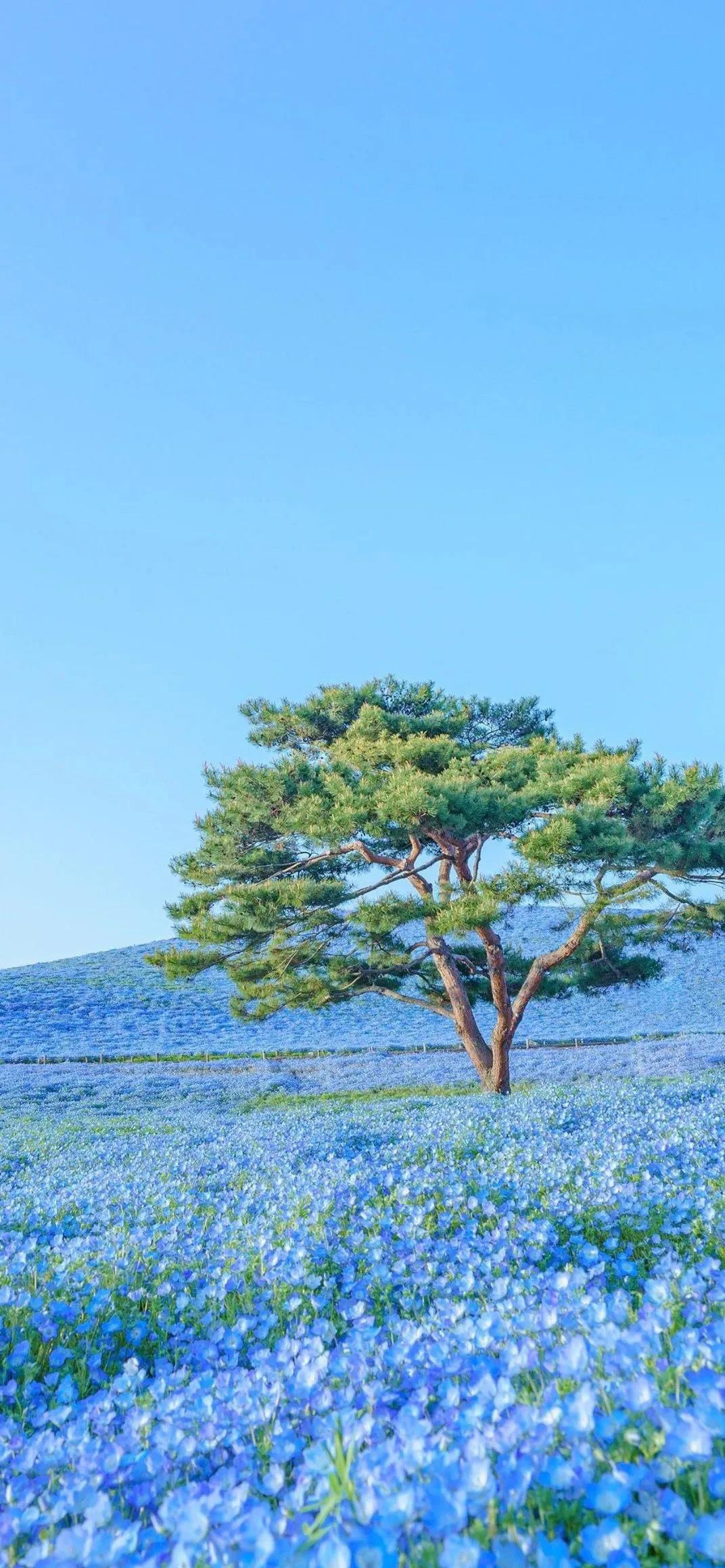 银行资管业务有哪些,银行资管盈利模式重塑