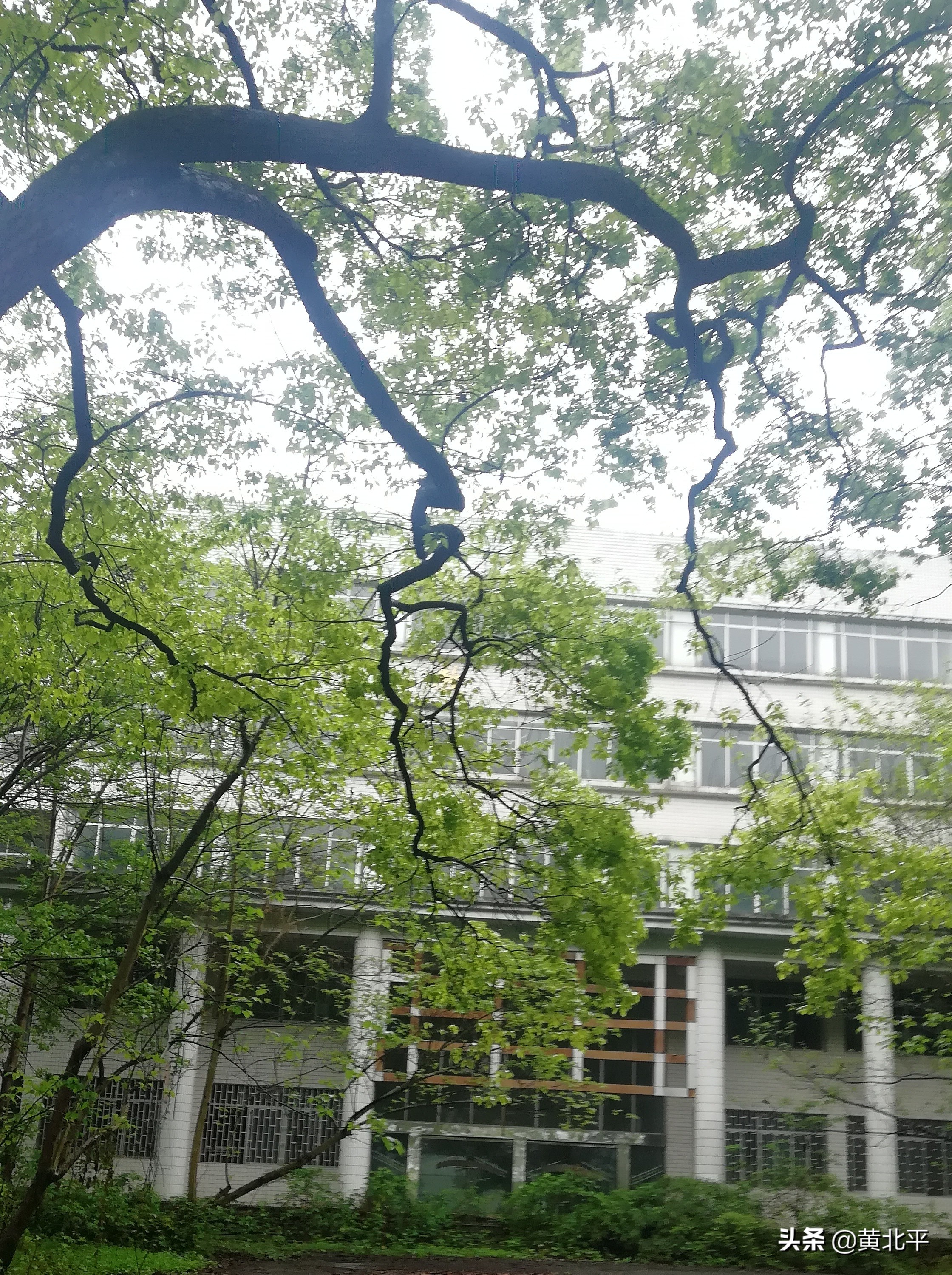 重庆西南工业管理学校旧址,重庆曾经的西南交通干部学校旧址