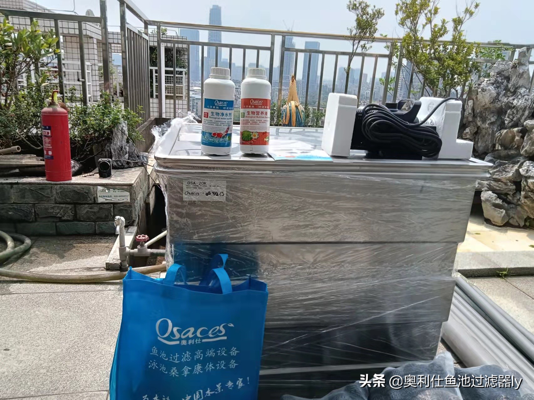 锦鲤鱼池智能水净化系统,南通锦鲤鱼池水净化