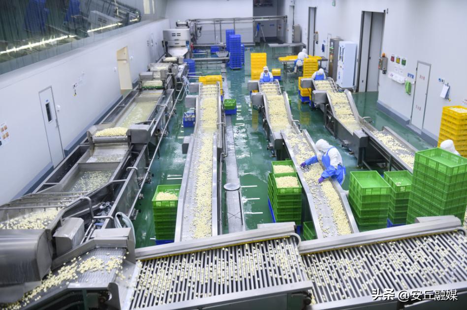 特色农产品产业运作思路,新型农产品新模式