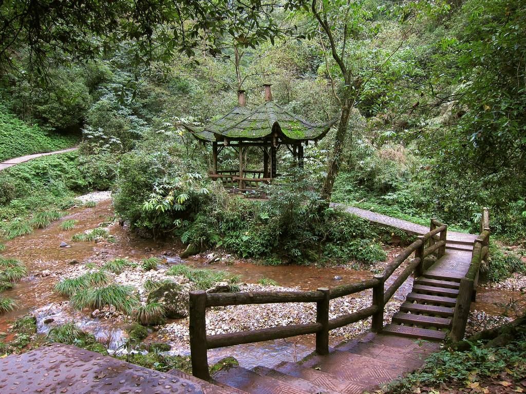 青城山风景区旅游攻略视频,四川青城山景区旅游攻略