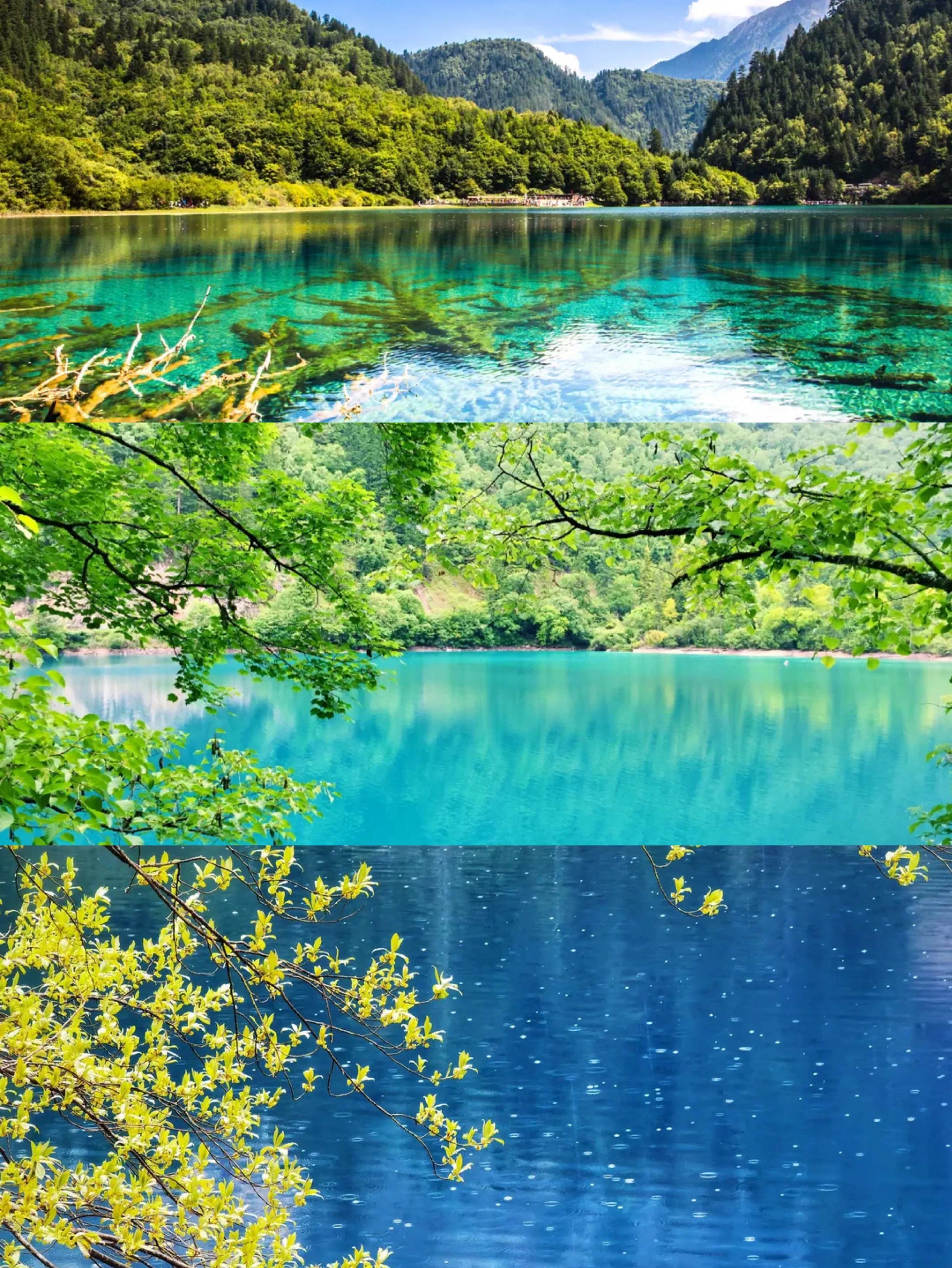 九寨沟黄龙三日游小团行程,九寨沟黄龙三日游2-8人