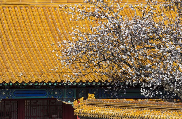 写春回大地的诗,指春回大地的诗句