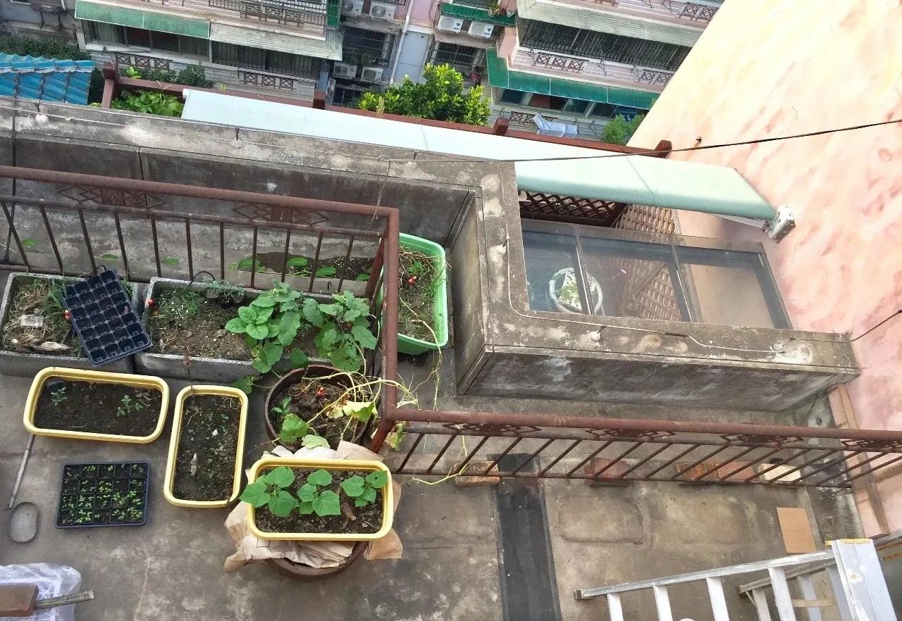 北阙园规划记（一期）