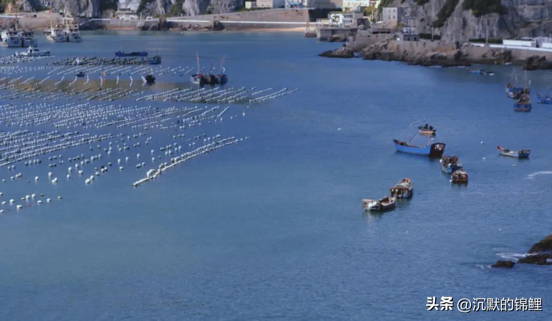 夏天枸杞岛旅游攻略 (枸杞岛  花鸟岛   嵊泗列岛)