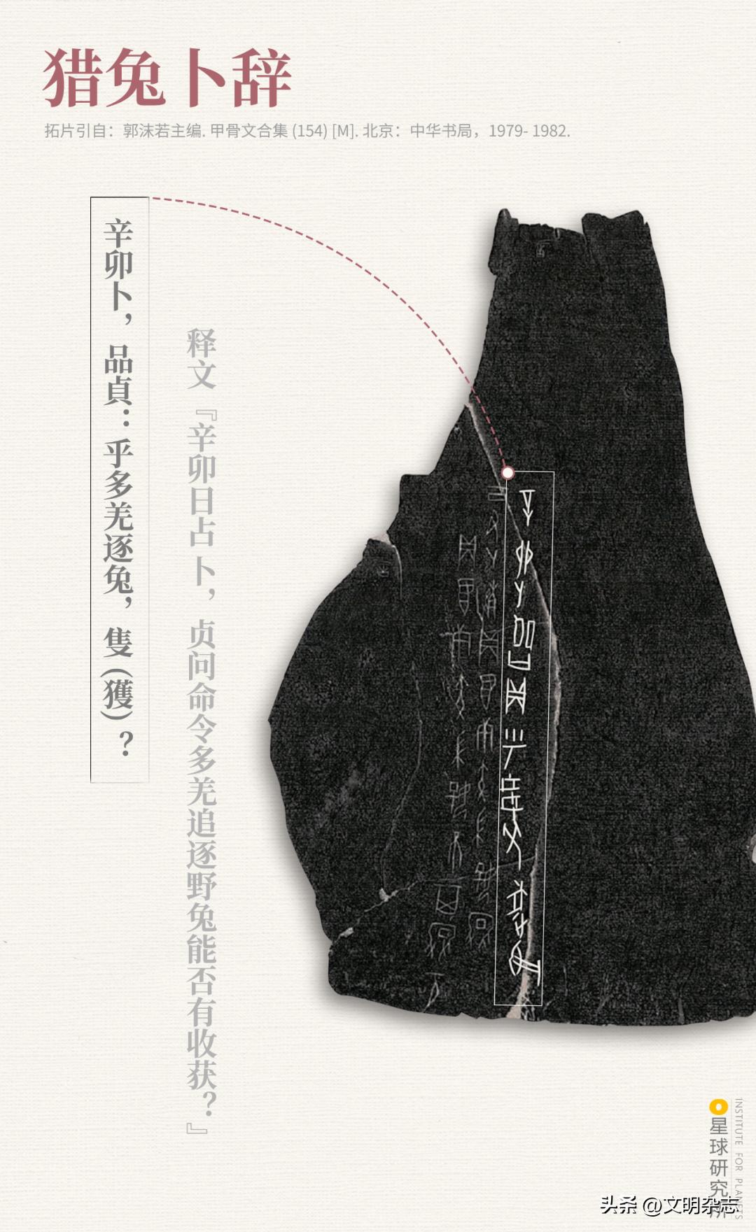 兔子来阳台,兔子来到新家