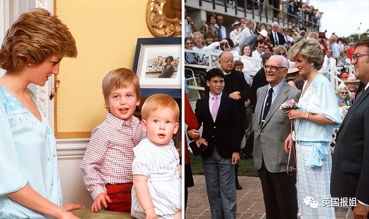 查尔斯另一个结局是什么,查尔斯和戴安娜斗争