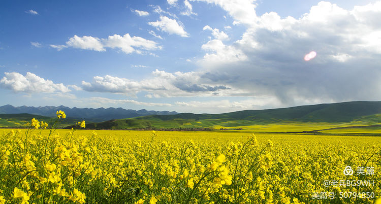 祁连山草原哪里最美,祁连山深处草原