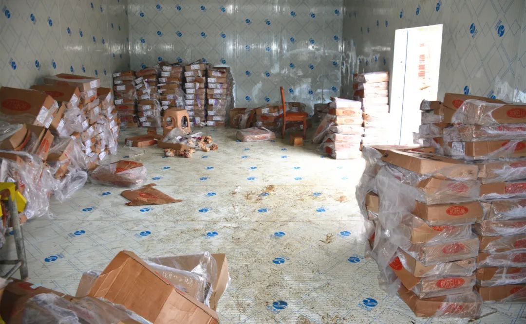 非法销售伪劣商品罪案例,销售假冒伪劣商品罪涉案金额60万