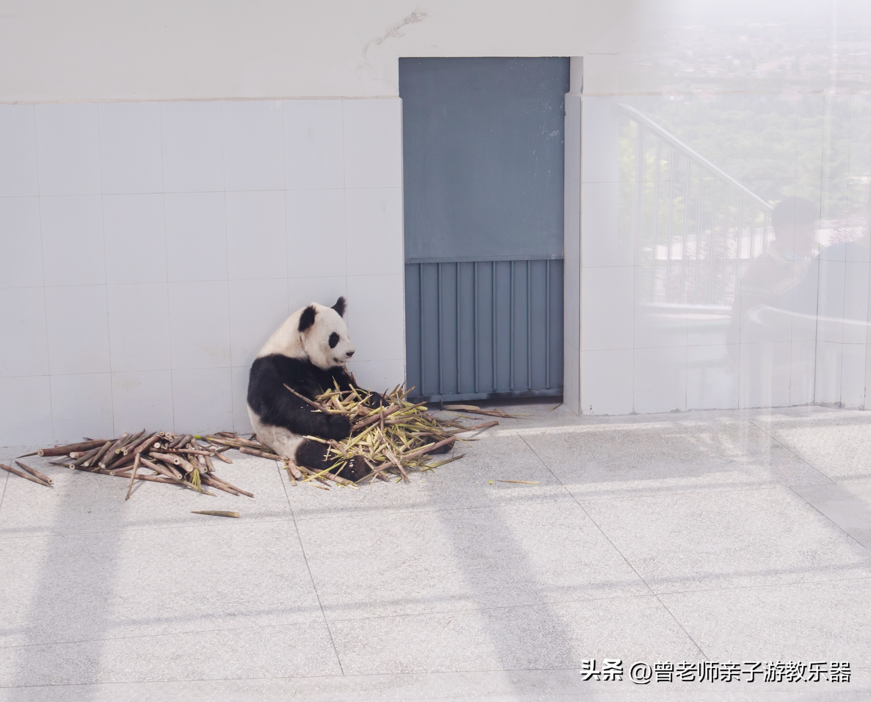 西安出发自驾亲子游,西安亲子游十大排名