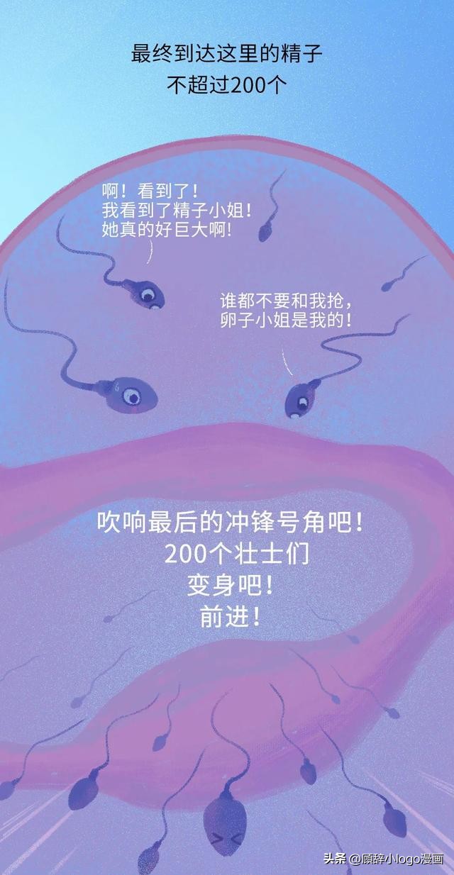 精子进入女生体内的24小时，都发生了些什么？太励志了！（漫画）