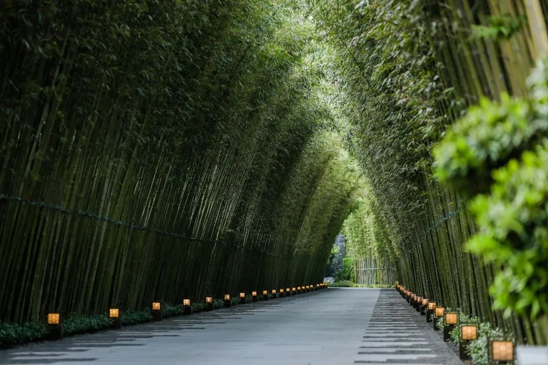 合生缦云广州现状,合生缦系广州