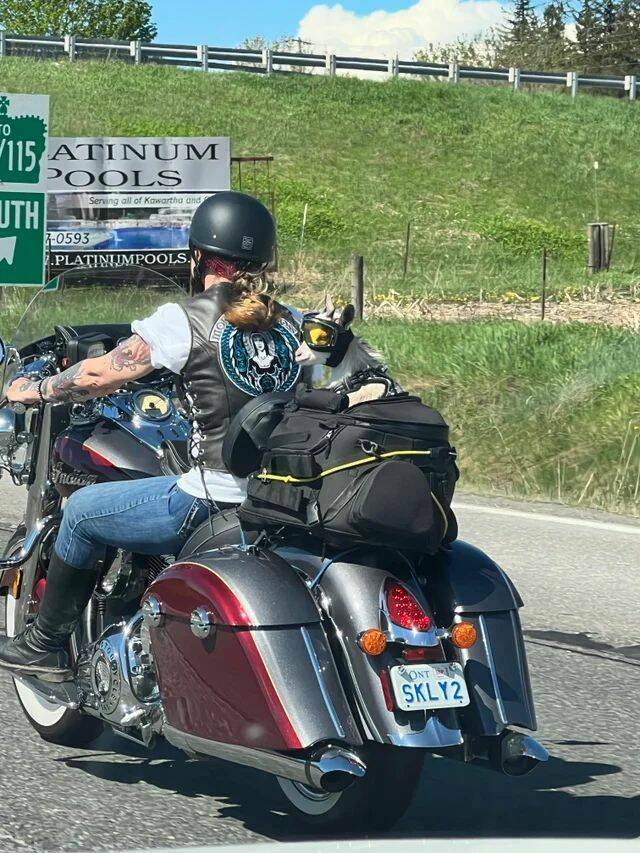 78个真实有趣的照片：山顶的足球场，老树与佛像，老司机脸部皮肤