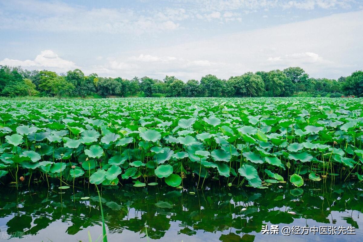 夏天不热冬天不冷什么病,冬天不冷夏天不热