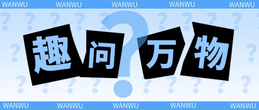 为什么飞行员不能吃一样的东西,为什么飞行员不能吃茄子