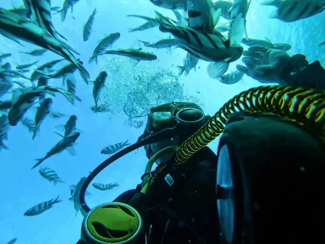 台湾地图为啥上热搜,台湾省地图热搜