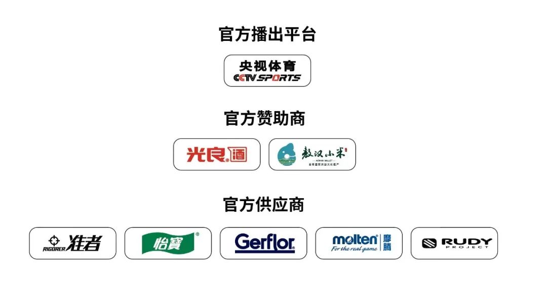 中国男子手球超级联赛积分榜山东,中国男子手球超级联赛