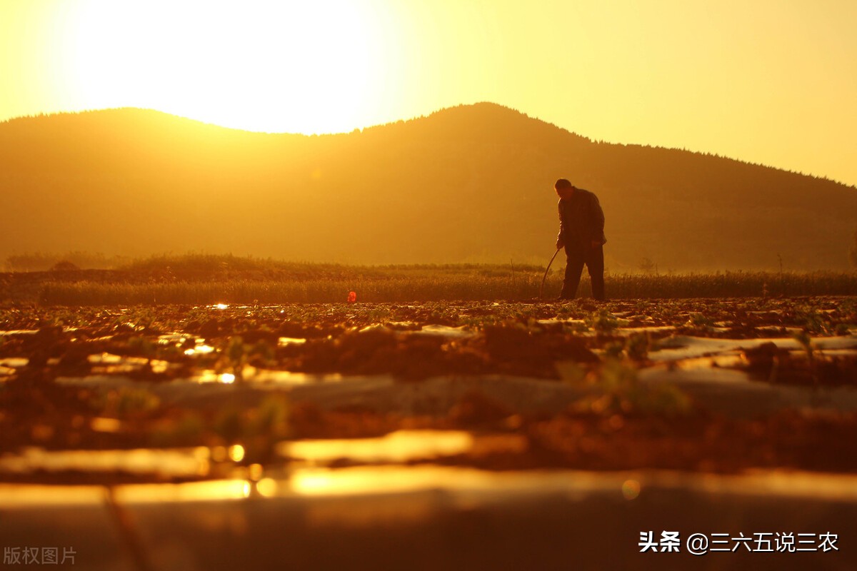 谷雨天气预报什么意思,今日天气预报问候语