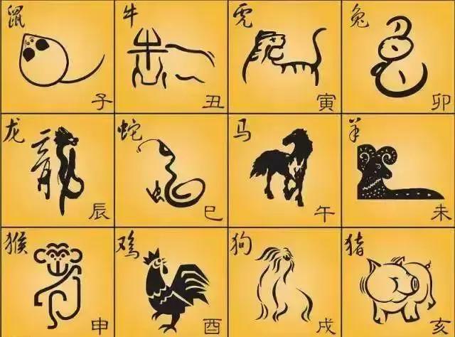 2023年是黑兔年是不是灾难多,2023年是黑兔劫吗