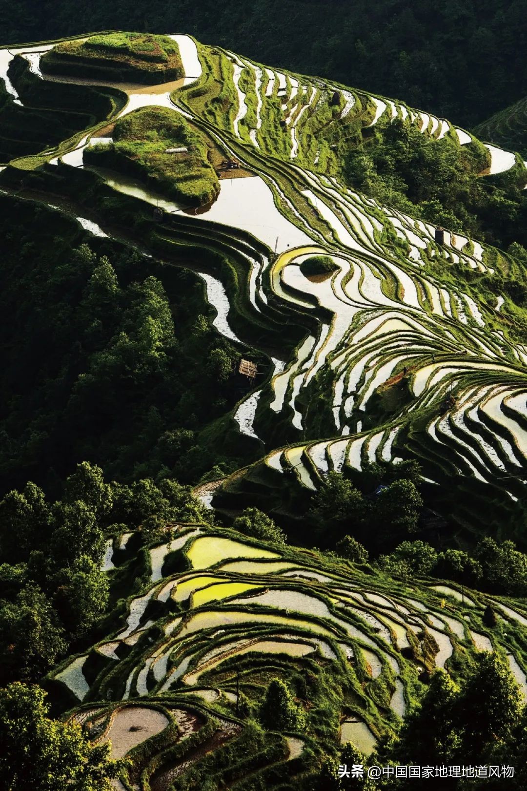 中国第二大河流是珠江吗,珠江为什么能成为三大河流