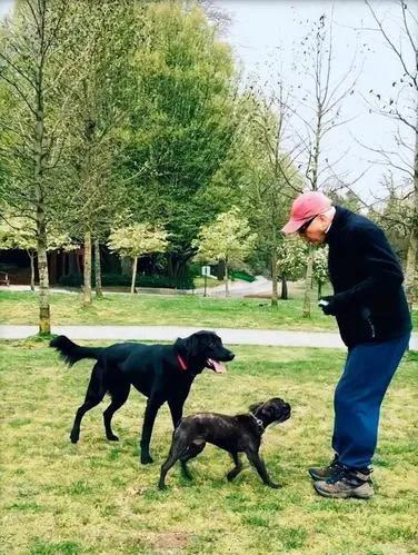 尊龙为什么孤独一生,尊龙晚年孤独