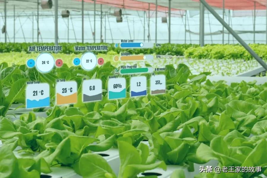 智慧农业补贴新政策,智慧农业扶持政策