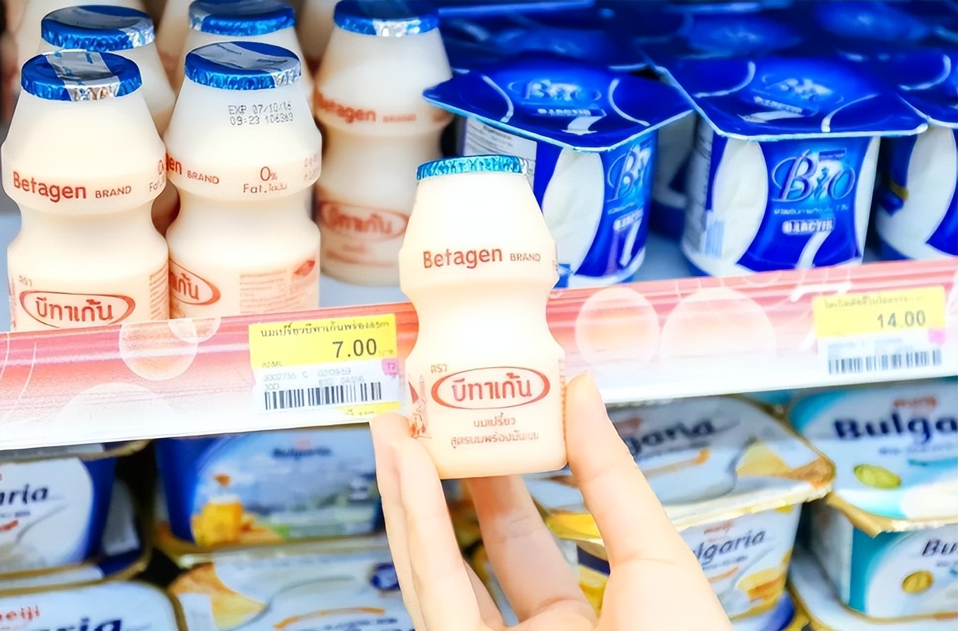 养乐多工厂探秘之旅,养乐多集团总部