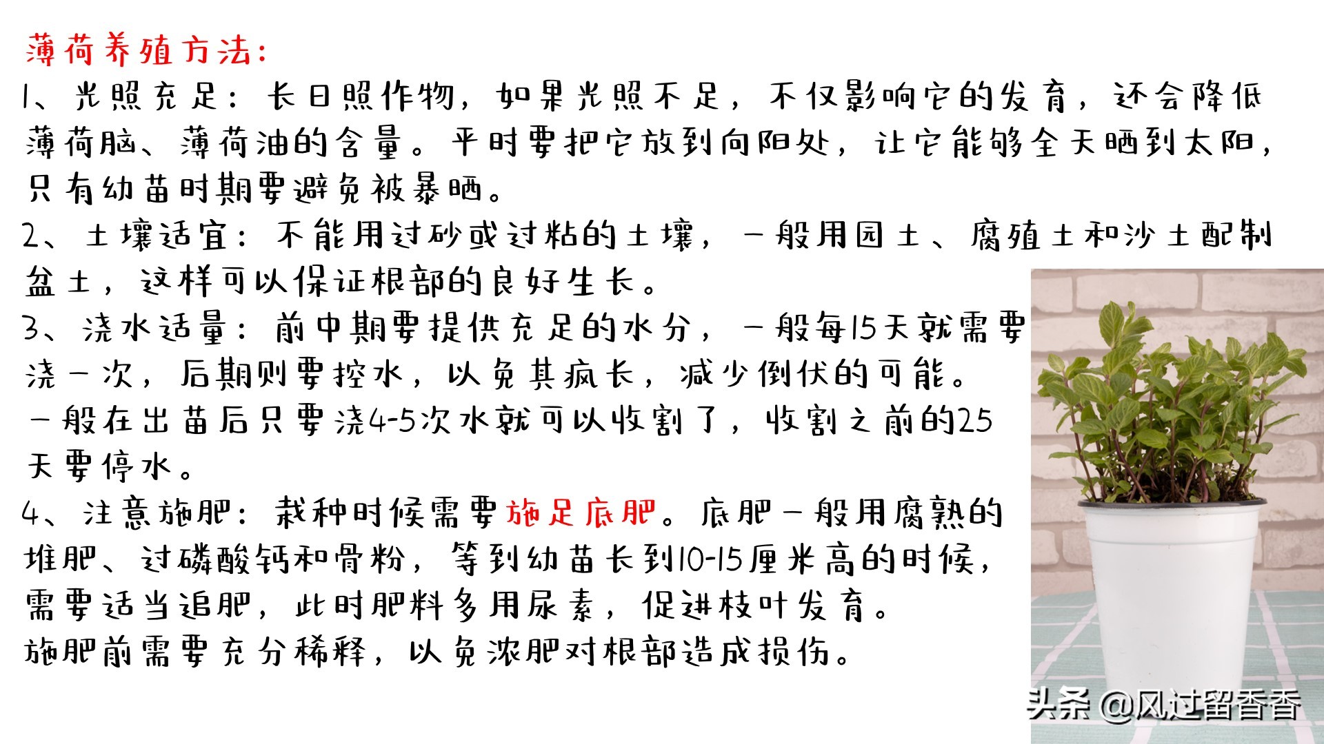 阳台养花教程推荐,阳台养花教程新手入门