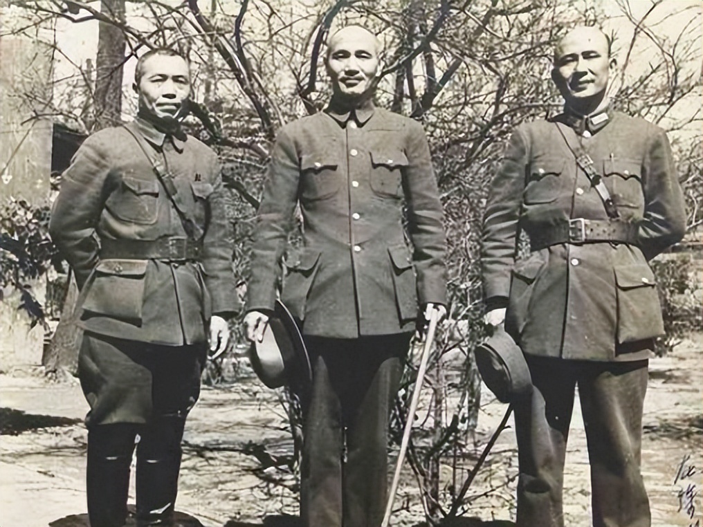 陈洁如晚年在哪里去世,陈洁如晚年现状