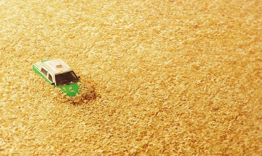 东北的文艺是怎么来的,范伟在东北的影响力