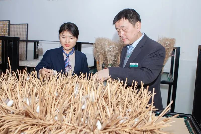 产业小镇｜金融助力绸都“破茧”闯出“新丝路”