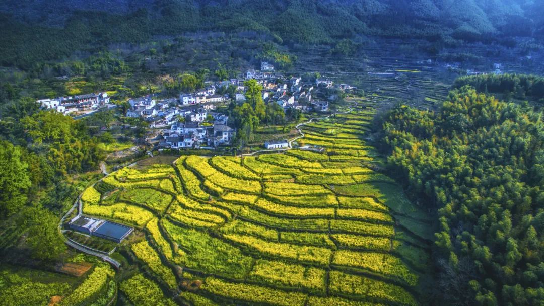 自驾去黄山路线攻略,夏季黄山自驾5条绝美路线攻略