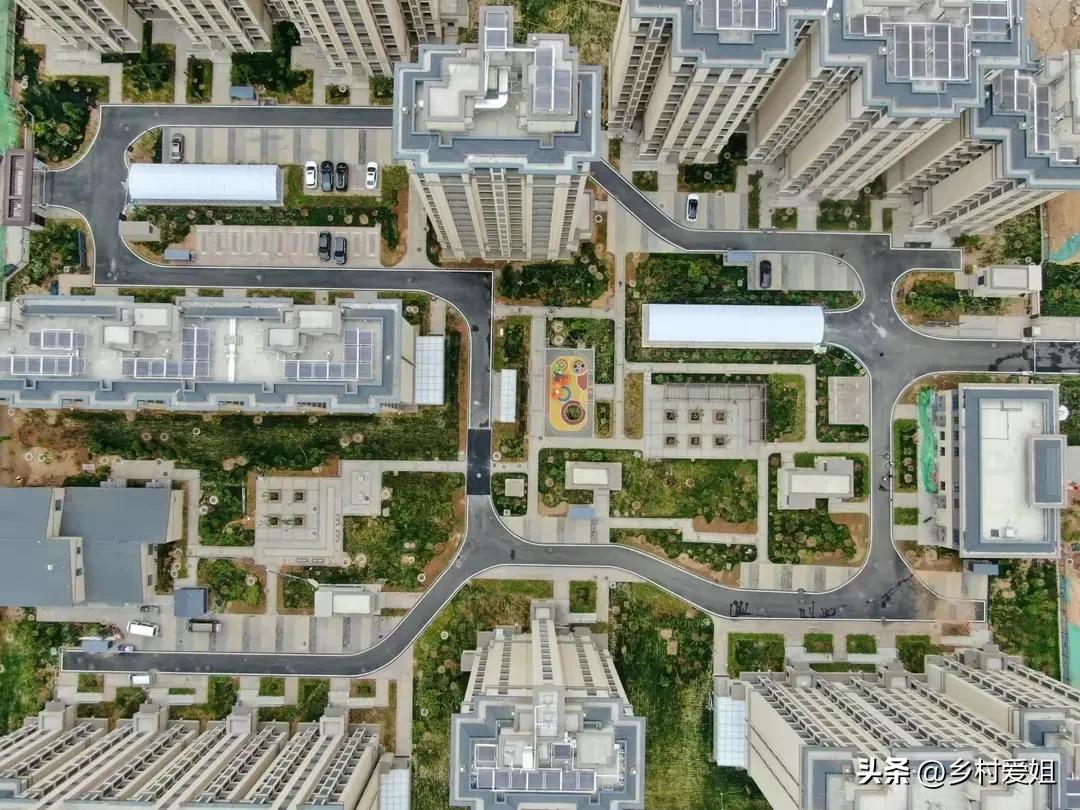 天大的喜事双喜临门,天大的喜事截图