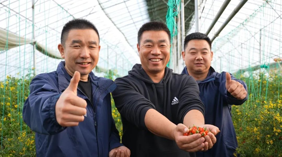 云天化“乡村振兴大地故事”——76万元的“特”果