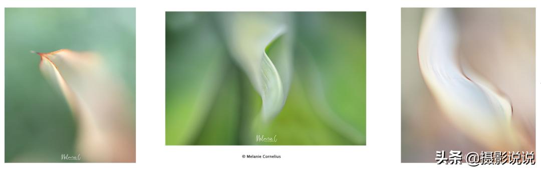 nisi近摄镜评测定焦,nisi测评