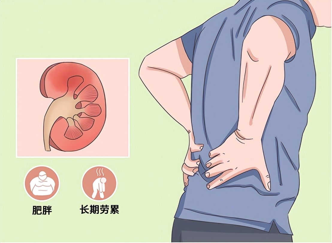 慢性病造成的肾脏伤害怎么治疗,自身免疫性疾病会引起哪些病