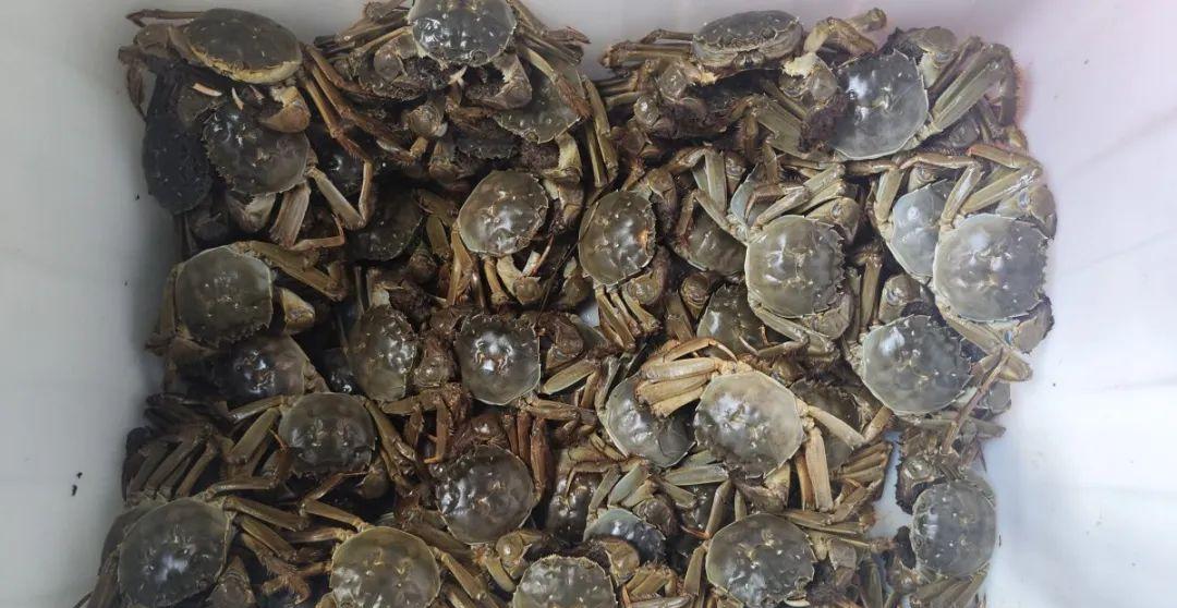 惊！宁波大宗商品价格暴跌40%！还有更大降幅即将来临！