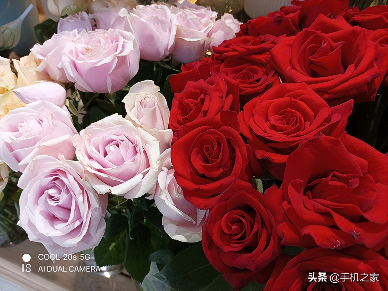 酷派cool20s5g手机音质,酷派cool20深度评测