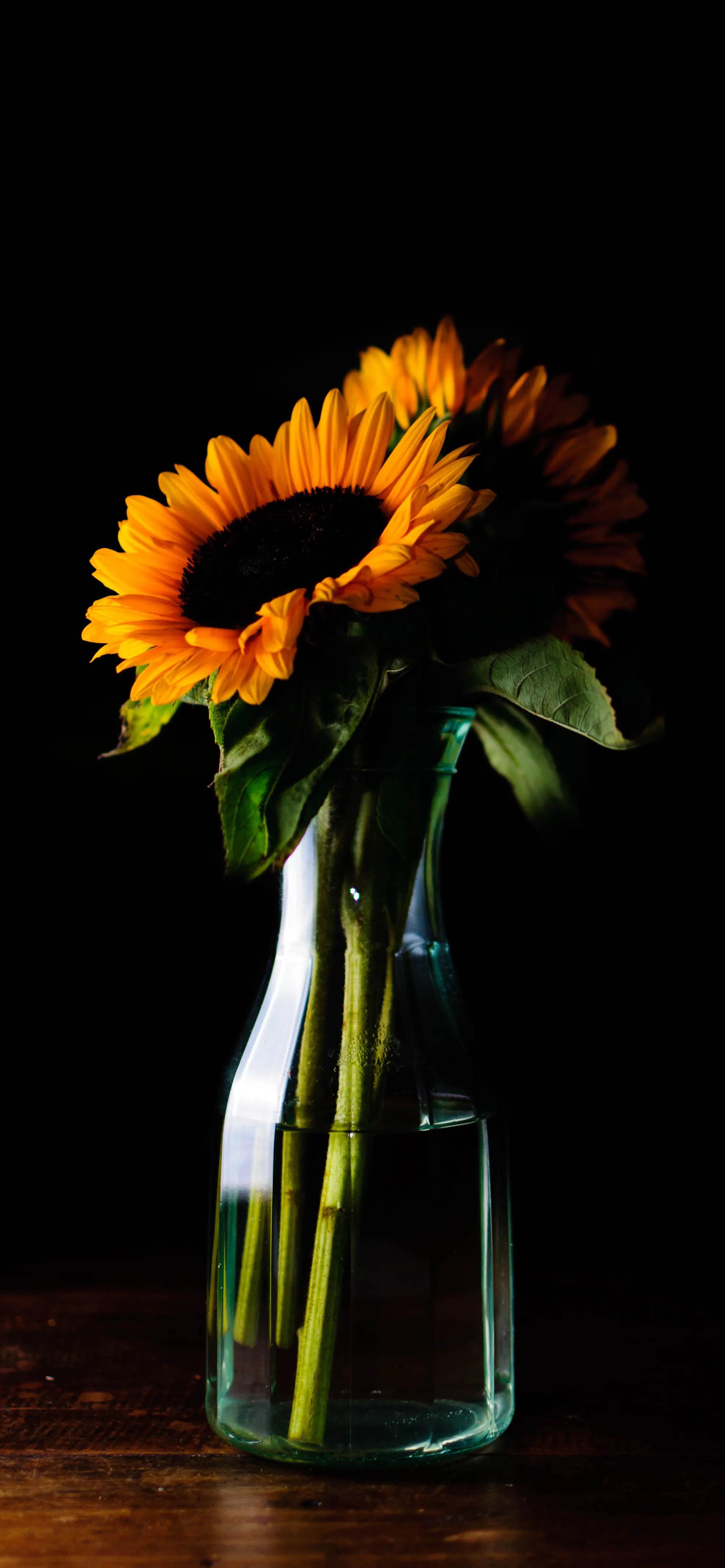 深色好看壁纸男生专用,男士深色手机壁纸高清