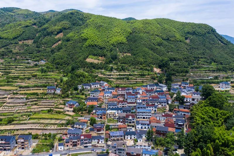 希望有更多的惠农政策,从农民眼中看惠农政策