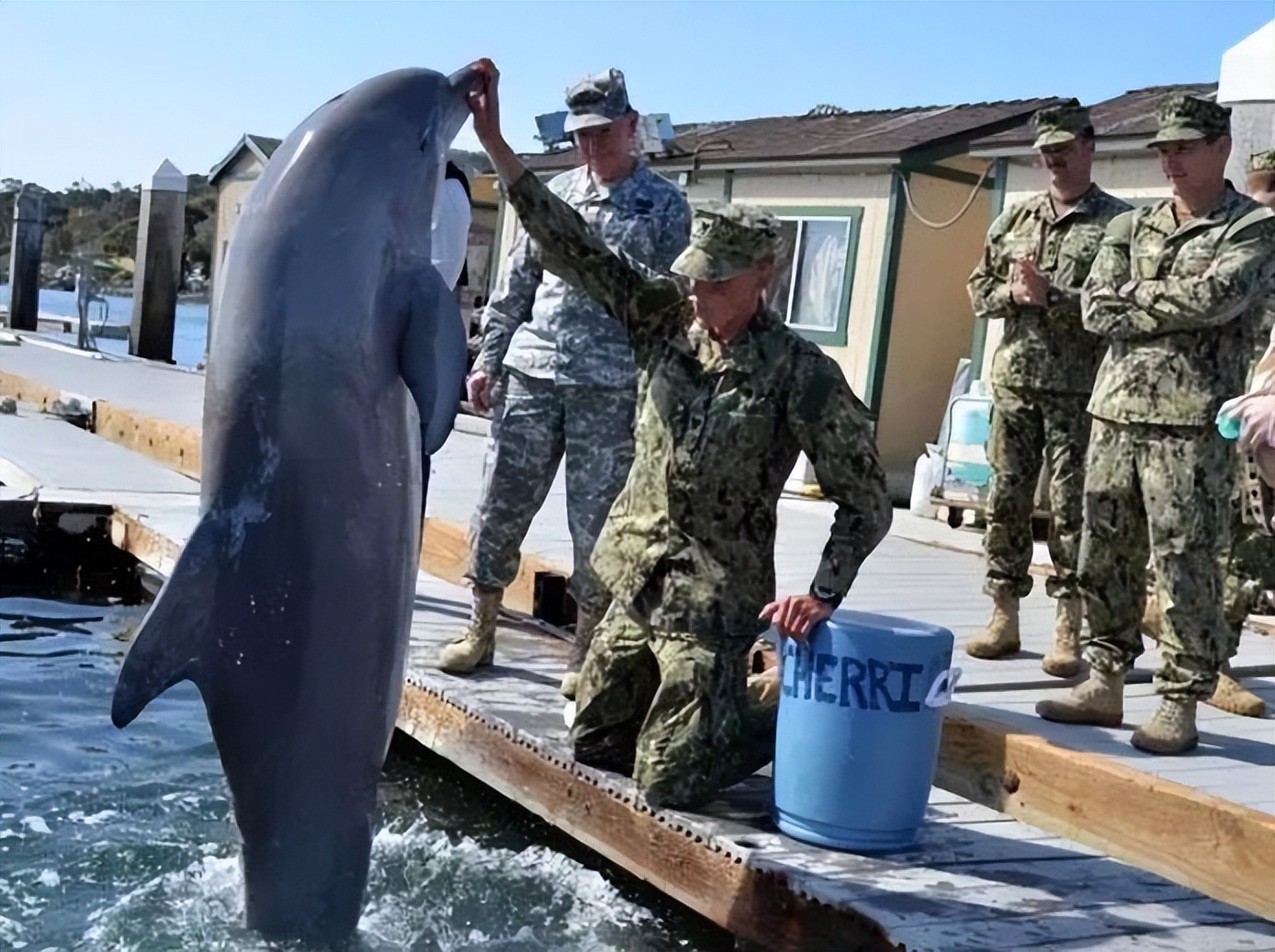 你知道的最震惊的冷知识是什么？