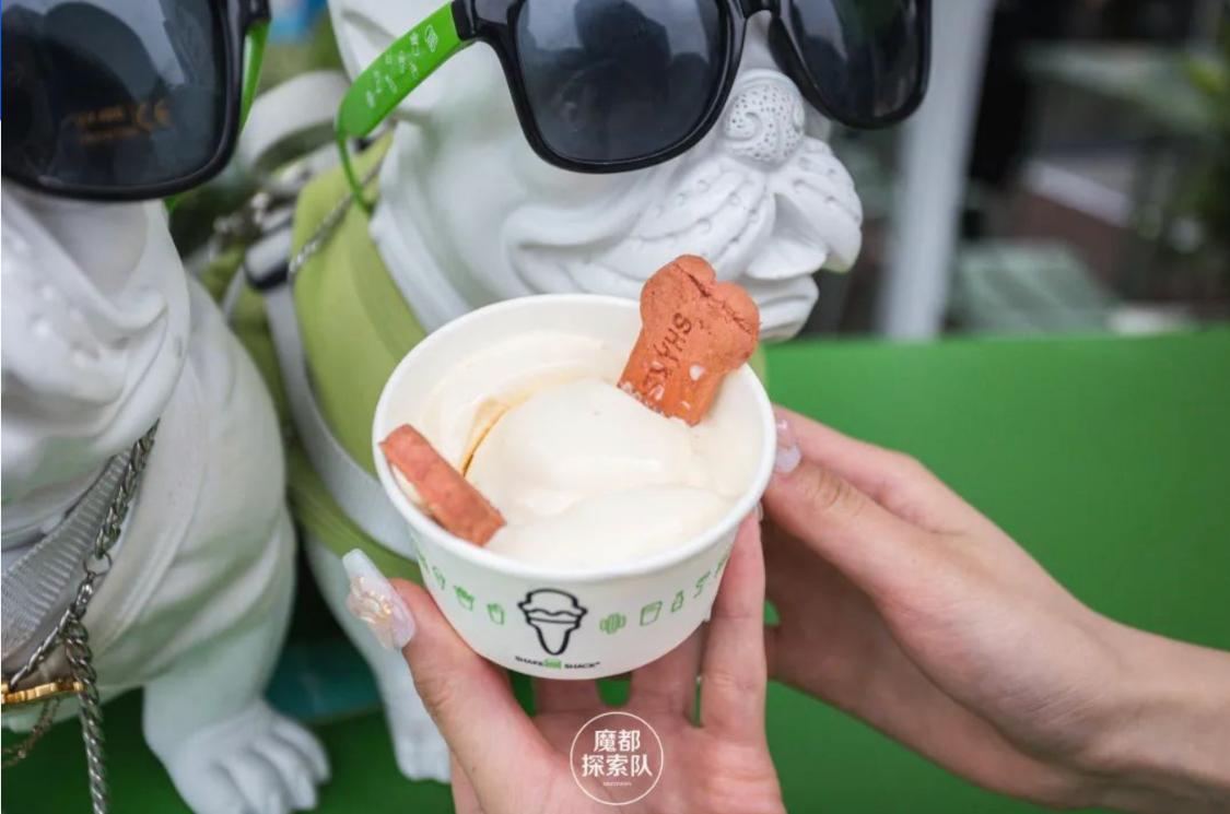 宠物可以进商场吗,宠物能进宠物友好商场吗