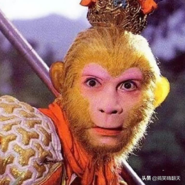 好看又搞笑又可爱的头像,可爱搞笑的图片头像