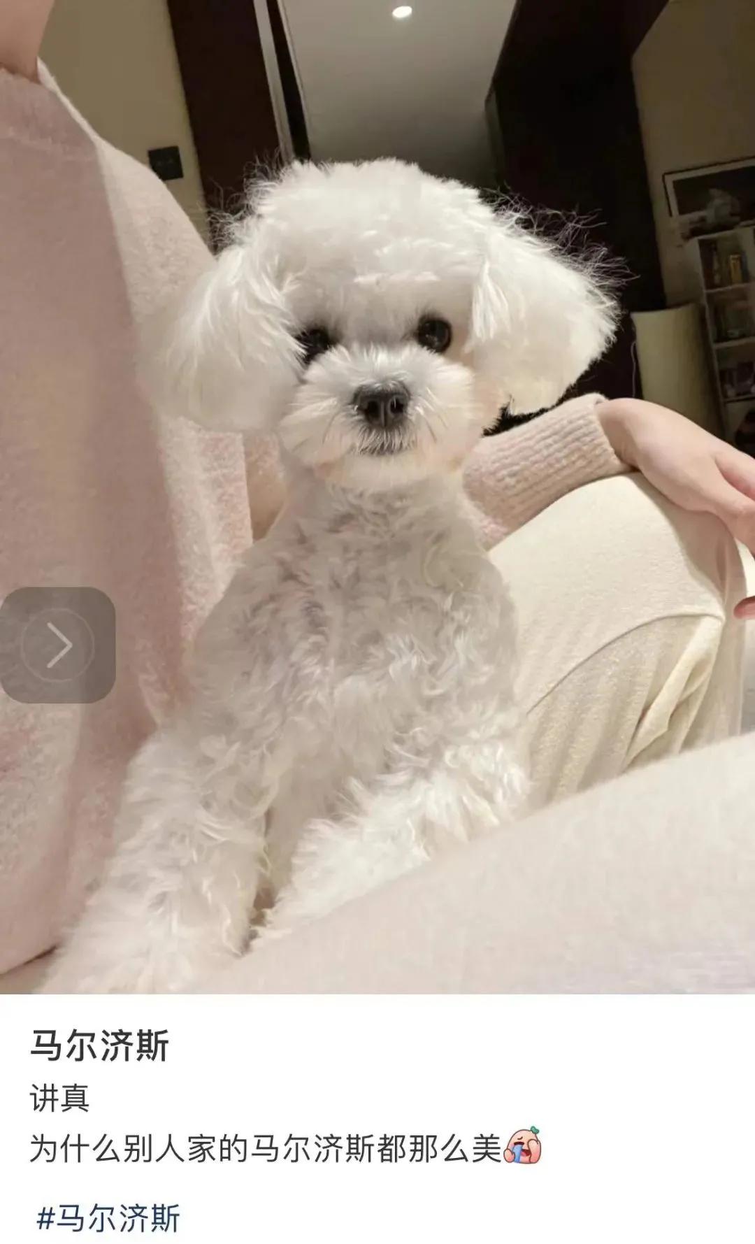 一定要让自己看起来很有钱的样子,让你的照片变得看起来很高级