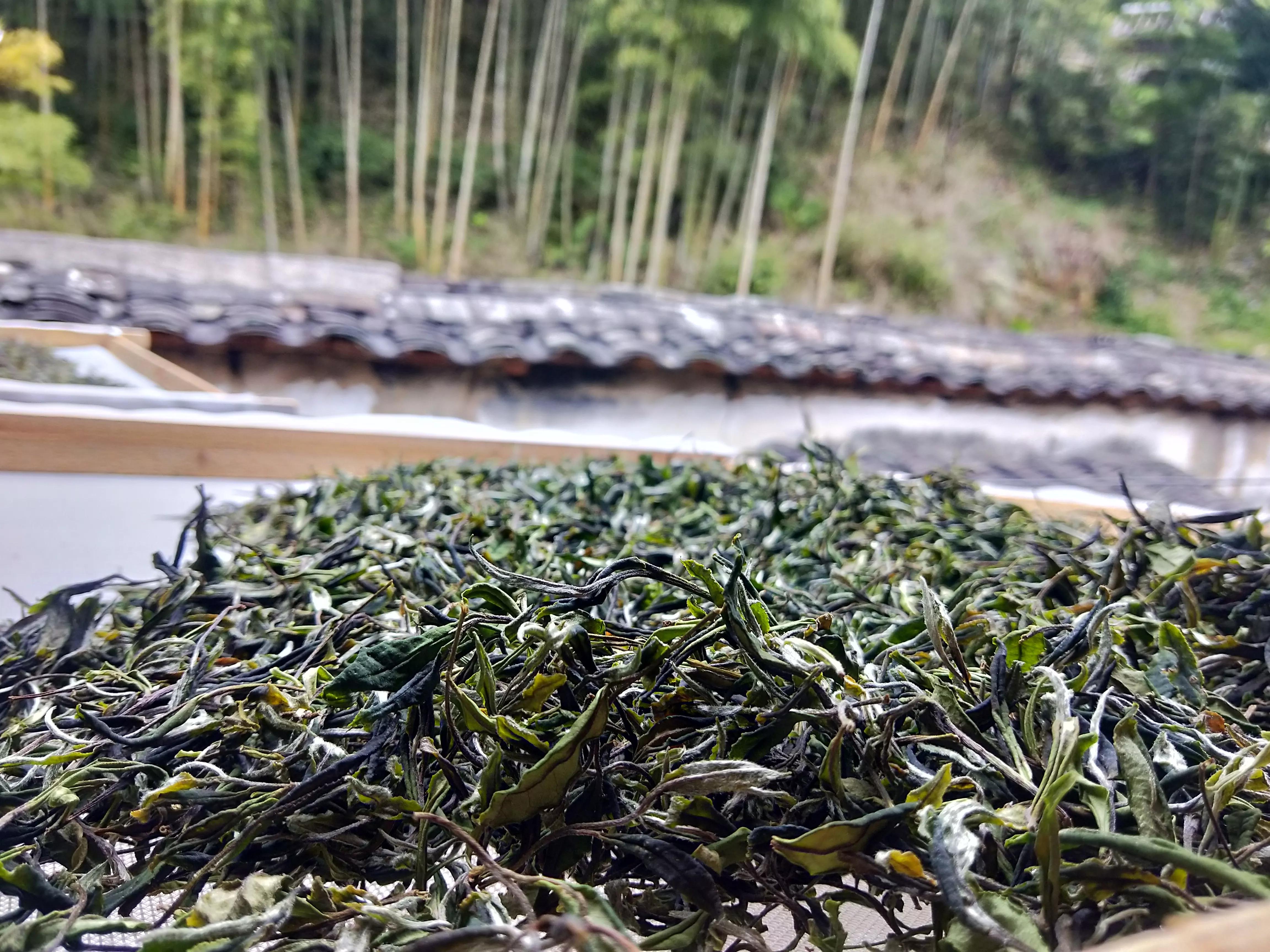 谷雨前后的茶推荐,醇香甘甜的早春好茶