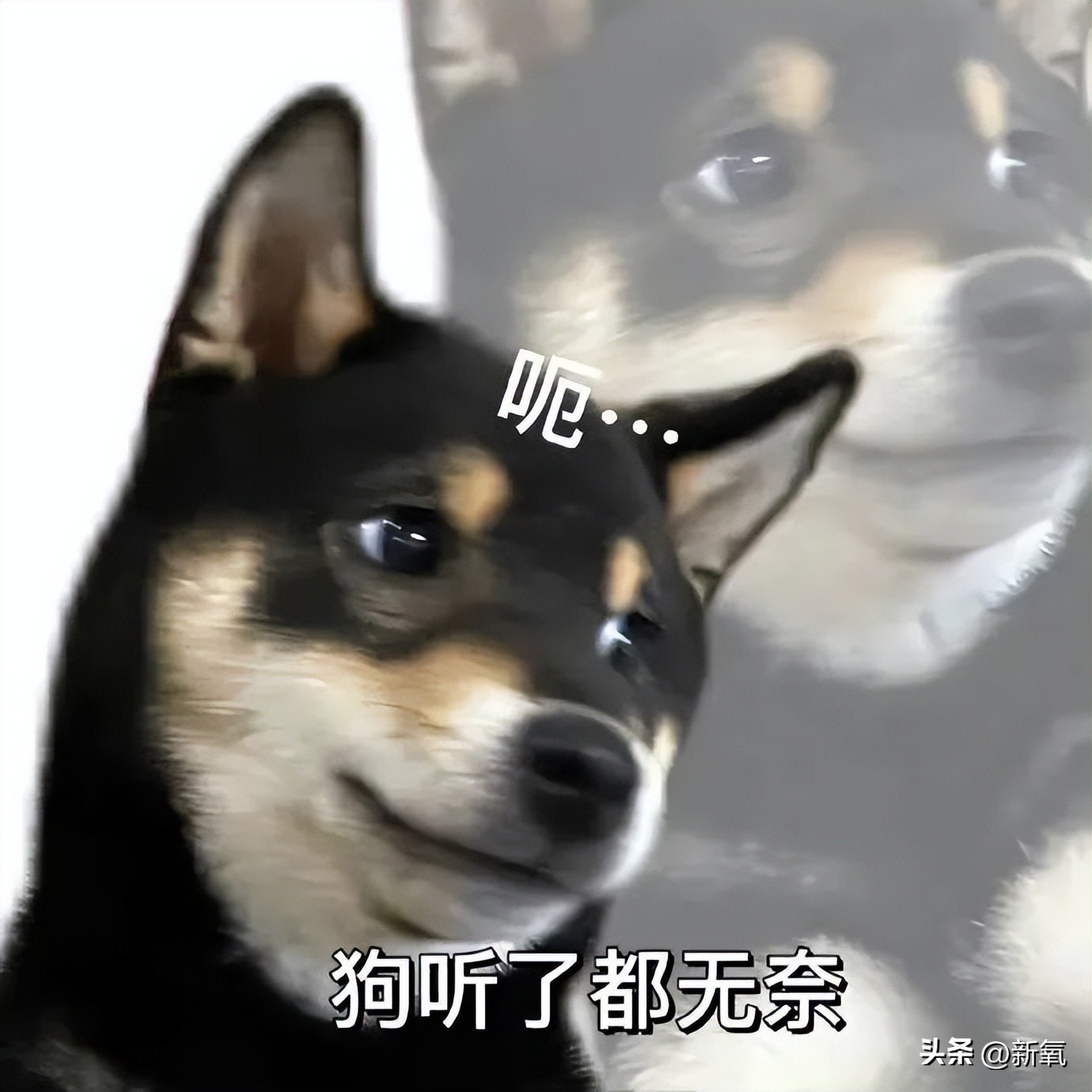 胸部明显大小不一怎么办,胸部越来越小是病理吗